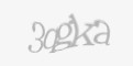 Защитный код