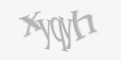 Защитный код